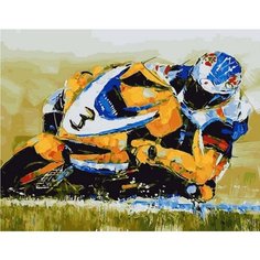 Картина по номерам Крутой поворот 40х50 см Hobby Home