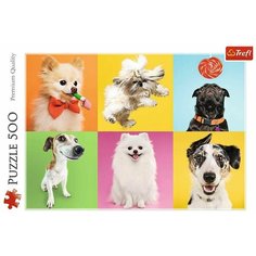 Пазл Trefl 500 деталей: Собаки