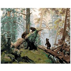 Картина по номерам, 60 x 75, Z-Z101100220, "Живопись по номерам", набор для раскрашивания, раскраска