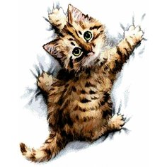 Картина по номерам Озорной котенок 40х50 см Hobby Home