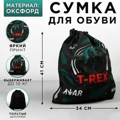 Мешок, сумка для обуви, сменки, сменной T-REX, текстиль, размер 41х34х0,5 см Art Fox