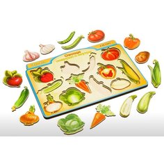 Сортер "Овощи в разрезе" АньЯнь