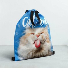 Мешок для обуви «Cat Bag», два вида ручек, 41х31 см Art Fox