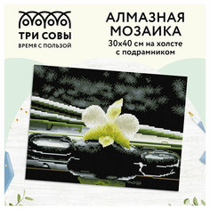 Алмазная мозаика ТРИ совы «Цветок орхидеи», 30×40см, холст на деревянном подрамнике, картонная коробка с пластиковой ручкой