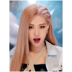 Картина по номерам на холсте BLACKPINK Kpop Rose - 971 30X40