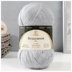 Камтекс Пряжа "Воздушная" 25%меринос. шерсть, 25%шерсть, 50%акрил 370м/100гр (008 серебристый)