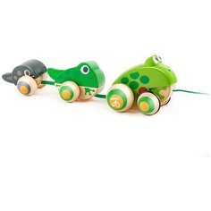 Игрушка для малышей каталка "Семья лягушек на прогулке" Hape