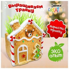 Эврики Набор для опытов «Выращиваем травку», домик