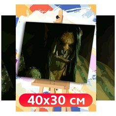 Картина по номерам игра Warcraft WOW World of Warcraft - 6755 Г 30x40