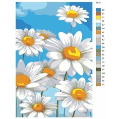 Картина по номерам W-72 "Ромашки" 50х70 Brushes Paints