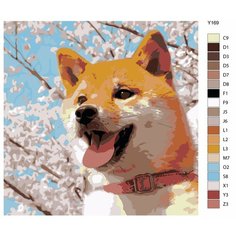 Картина по номерам Y-169 "Сиба-ину и сакура. Собака" 70x70 Brushes Paints