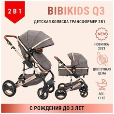 Детская коляска трансформер 2 в 1 BibiKids Q3, люлька для новорожденных и прогулка до 3-х лет, Серая