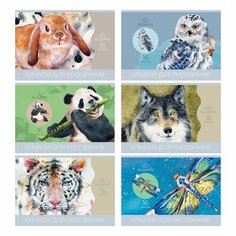 Альбом для рисования А5, 16л BG "Мир вокруг" (100 г/кв. м, скрепка) (АР5ск16 12027), 36шт. (350578) BG®