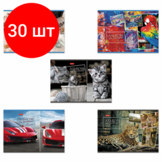 Комплект 30 шт, Альбом для рисования А4 48 л, скоба, обложка картон, HATBER, 205х290 мм, Ассорти, 48А4В
