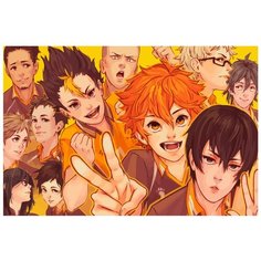 Картина по номерам на холсте Аниме Волейбол 5139