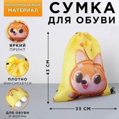 ArtFox Болоневая сумка для обуви «Давай дружить», 33х43х0,5 см