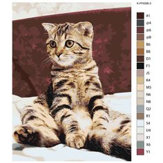 Картина по номерам, 75 x 100, R0L1-K-PF0306-3, кот, животное, питомец "Живопись по номерам", набор для раскрашивания, раскраска