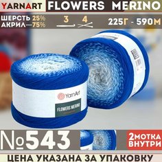 Пряжа YARNART Flowers Merino (YarnArt), васил/голуб/бел - 543, 25% шерсть, 75% акрил, 2 мотка, 225 г, 590 м.