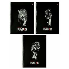 Тетрадь А4 96 листов, клетка, на гребне RAPID, в ассортименте, 2 шт. Альт