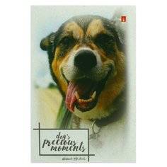 Блокнот Альт Щеночки 3-40-579 А6, 40 листов, микс