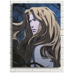 Картина по номерам Аниме Castlevania Кастельвания (Алукард, Влад Цепеш, Дракула) - 7427 В 30x40