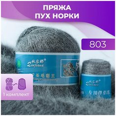 Пряжа Пух норки - 1 комплект (50 грамм, 350 м), цвет 803 Long Mink Wool