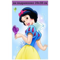 Алмазная мозаика на подрамнике 20х30 Белоснежка, алмазная живопись 30х20, 30*20, Наборы с круглыми стразами полная выкладка Стиль для Дома