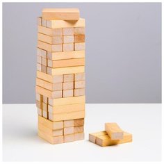 Логический игровой набор «Башня Классика», 54 детали Томик
