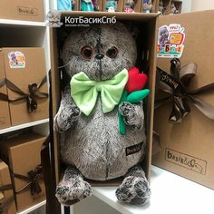 Мягкая игрушка 30 см Basik&Co в подарочной коробке - Кот Басик с тюльпаном