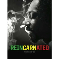 Плакат, постер на бумаге Snoop Dogg/Снуп Догг/музыкальные/поп исполнитель/артист/поп-звезда/группа. Размер 60 х 84 см