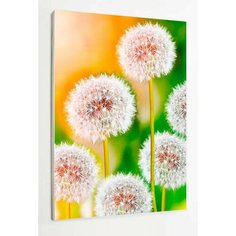 Алмазная мозаика Весна Одуванчики 30х40 "Раскрасим сами"