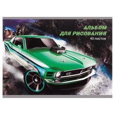 Альбом для рисования А4, 40 листов на скрепке "Дрифт", обложка мелованный картон, внутренний блок офсет 100 г/?2 Calligrata