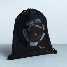 Сумка для обуви DANGER, 2 секции, 41х31 см Случай