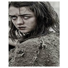 Картина по номерам Арья Старк 40х50 см АртТойс