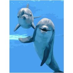 Картина по номерам Привет от дельфина 40х50 см АртТойс