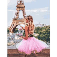 Картина по номерам Роза в Париже 40х50 см АртТойс