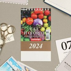 Календарь настольный, домик "Лунный календарь. Сад и орогод." 2024, 10х14 см Нет бренда