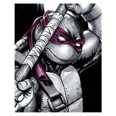 Картина по номерам Донателло 40х50 см АртТойс