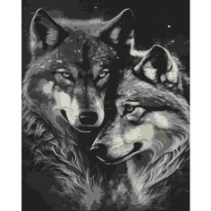 Картина по номерам "Волки", Холст на подрамнике, 40х50 см, Набор для творчества, Рисование, 40х50 см, Живопись "ТТ", с животными tt