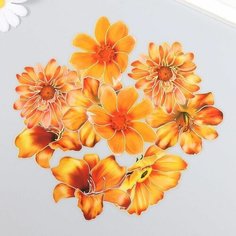 Наклейки для творчества Оранжевые цветы набор 10 шт 0,2х8,5х13,3 см Китай