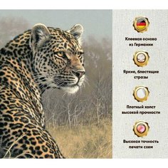 Алмазная мозаика 30х40, без подрамника, полная выкладка квадратными стразами/ Животные /Тигр Даймонд Канвас