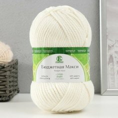Камтекс Пряжа "Бюджетная Макси" 40% шерсть, 60% акрил 140м/150гр (белый - 205)