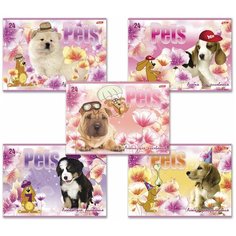 Альбом для рисования, А4, 24 листа, скоба, обложка картон, HATBER, 205х290 мм, "Любимцы", 24А4В, A090770 В комплекте: 5шт.