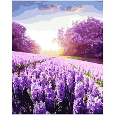 Картина по номерам Солнечная лаванда 40х50 см АртТойс