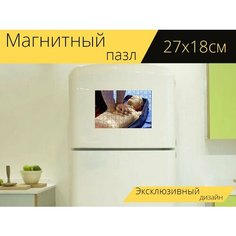 Магнитный пазл "Слр, сердечнолегочная реанимация, медицинское лечение" на холодильник 27 x 18 см. Lots Prints