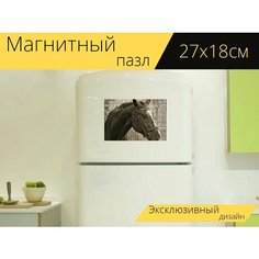 Магнитный пазл "Лошадь, животное, езда на лошади" на холодильник 27 x 18 см. Lots Prints
