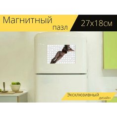 Магнитный пазл "Женщина, аватар, чернить" на холодильник 27 x 18 см. Lots Prints