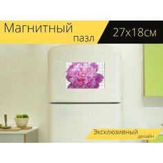 Магнитный пазл "Пион, передача, цветы" на холодильник 27 x 18 см. Lots Prints