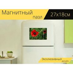 Магнитный пазл "Мак, красный, поле" на холодильник 27 x 18 см. Lots Prints