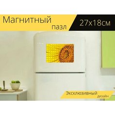 Магнитный пазл "Подсолнечник, желтый, симпатичный" на холодильник 27 x 18 см. Lots Prints
